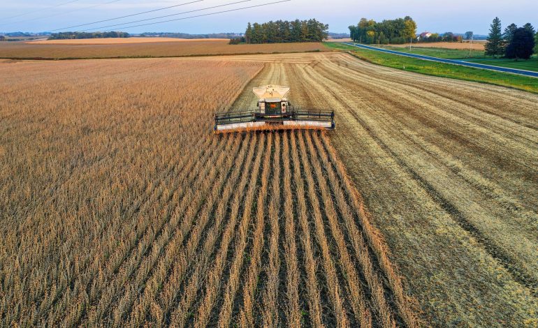  US soybean market rattled as China strikes with fresh tariffs