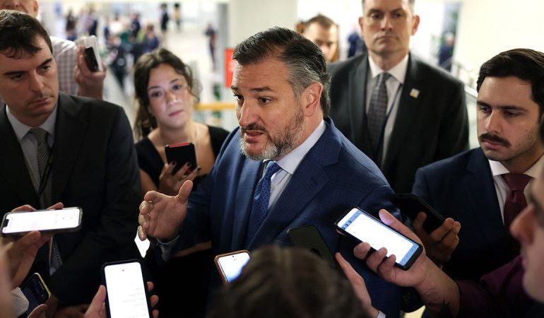 Cruz ‘cannot support’ Trump’s Kuwait ambassador pick over Muslim Brotherhood remarks