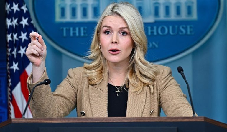 Leavitt unloads on Obama over voter ID push, accuses Dems of ‘panic’